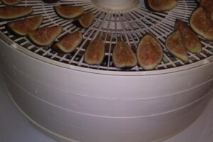 Dehydrating fruit